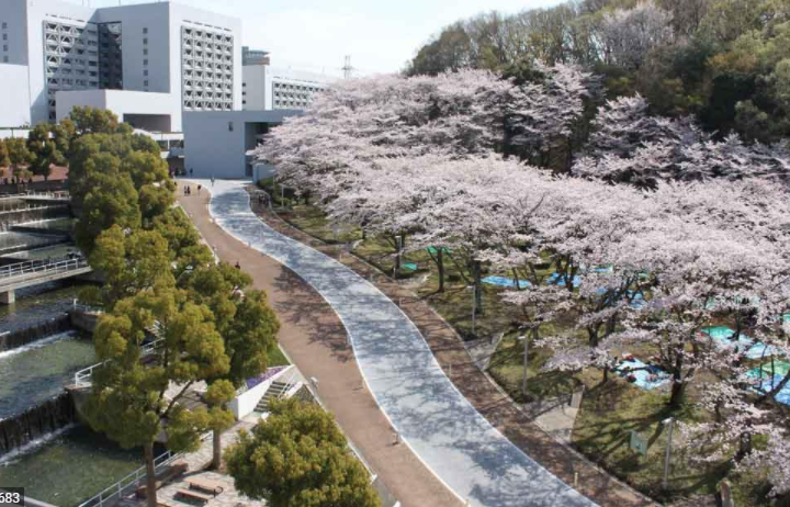 日本中央大学怎么样？走进中央大学看看吧